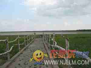 张北坝上草原农家院住宿