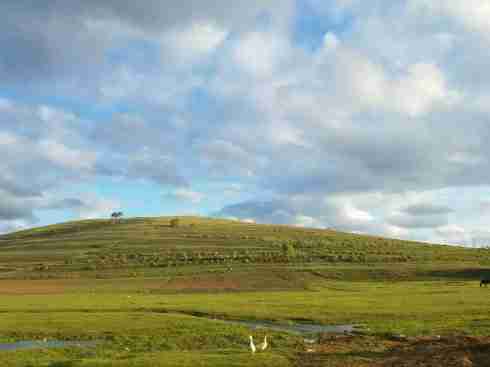 張北草原天路農家院大康莊園最實惠張北草原天路家院