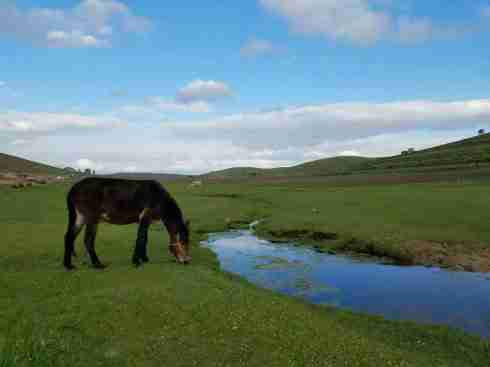 張北草原天路農家院大康莊園最實惠張北草原天路家院