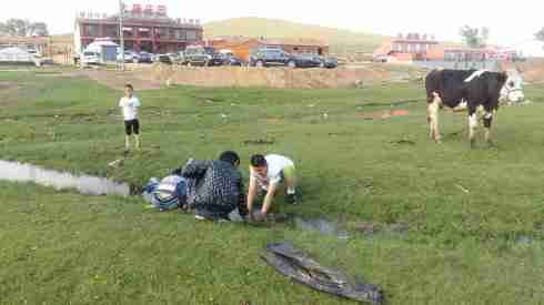 張北草原天路農家院大康莊園最實惠張北草原天路家院