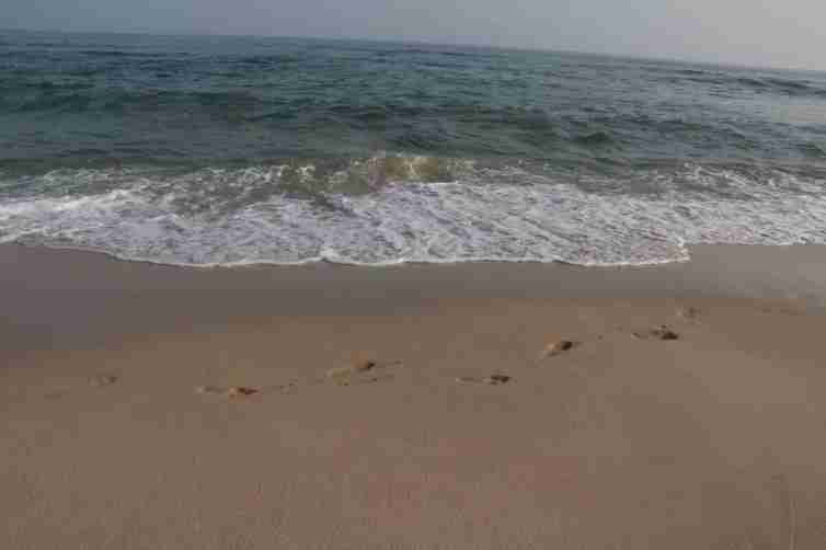 深圳周邊自駕路線-惠東黑排角-圖2