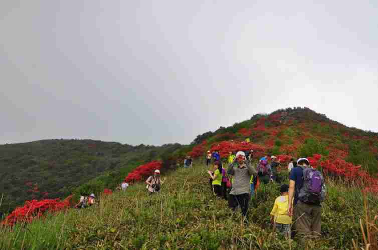 東西涌3,新豐禾溪村4,從化溪頭村5,惠東雙月灣6,河源萬綠湖葉屋坪7