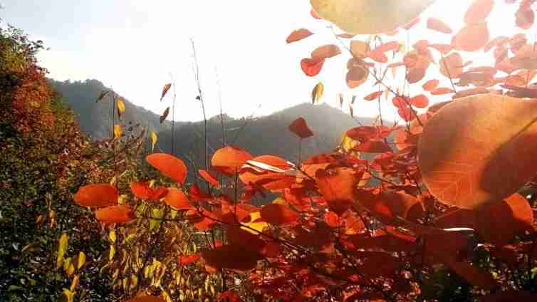 西安周边一日游自驾,10个西安周边最值得去的经典自驾游景