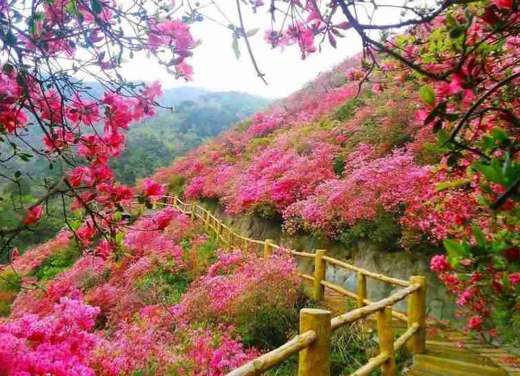 為了讓平時忙碌的父母參與到與孩子們的互動活動中,木蘭雲霧山風景區